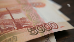 Предгорный округ Ставрополья перенаправит новогодний бюджет на поддержку СВО