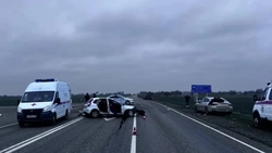 Женщина погибла в ДТП на автодороге Ростов-на-Дону — Ставрополь