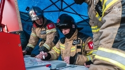 500 га сухой растительности и десятки овец сгорели в Нефтекумском округе