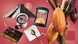 История о счастье: шоколатье напоила ставропольцев настоящим какао и поделилась рецептами древних майя