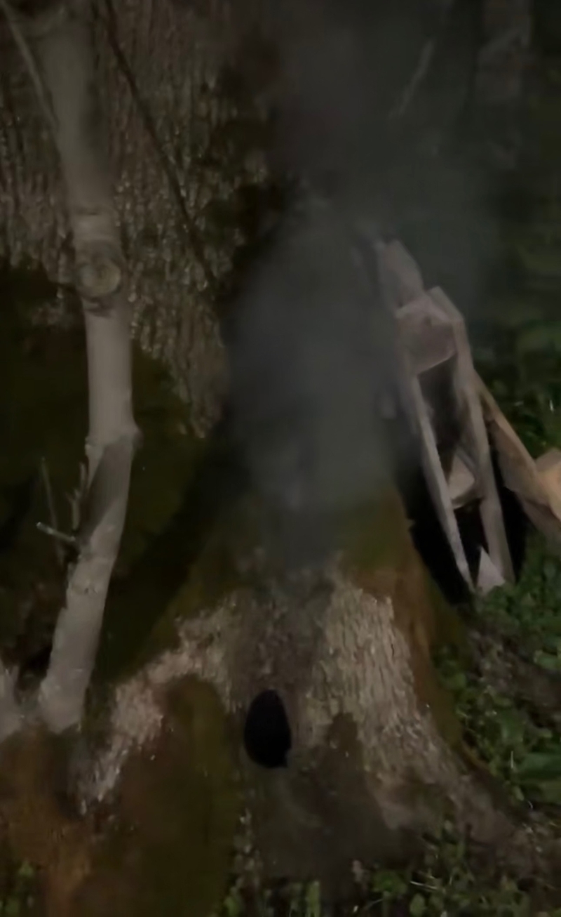 Дерево загорелось изнутри в Железноводске