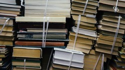 Депутаты думы Ставрополья передали антрацитовским школьникам более пяти тысяч книг 