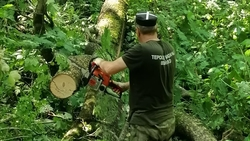 Казаки со Ставрополья восстановили Свято-Троицкий источник после непогоды