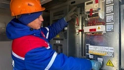 Энергетики подключили к электросети 2,8 тыс. новых абонентов на Ставрополье