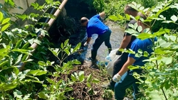 Берег ручья Капельного убрали общественники в Ессентуках