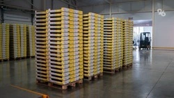 Крупный и средний бизнес Ставрополя на 9,7% нарастил объём поставок и услуг