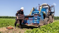Аграриям Ставрополья одобрили 100 заявок в рамках инвестиционного кредитования 