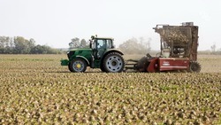 Зернопроизводителям Ставрополья могут заранее возместить производственные затраты