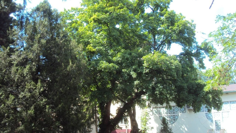 Охранную зону вокруг природного памятника создали в Пятигорске