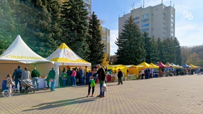 Минэк Ставрополья следит, чтобы цены за 60 дней не повышались более чем на 10%