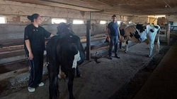 Семья из Арзгирского округа дважды оформила соцконтракт на развитие ЛПХ