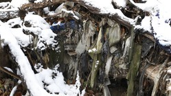 Более 114 тыс. тонн отходов скопились на несанкционированных свалках в Кировском округе