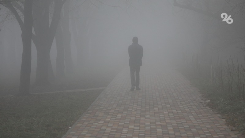 Автомобилистов предупредили о густом тумане в Курском округе