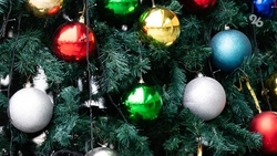 16 ёлочных базаров открылись  в Ставрополе 