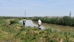 Уровень реки Калаус поднялся на 4 см за сутки в Апанасенковском округе