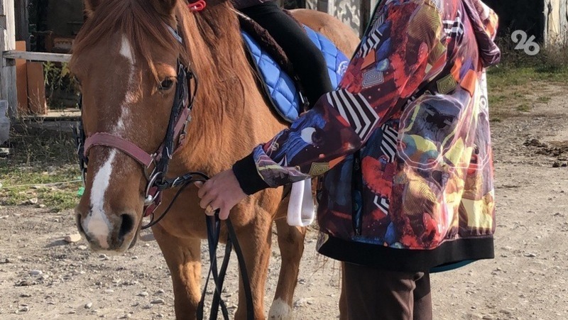 Целый табун лошадей арестовали в Кисловодске