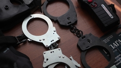 Пенсионер из Кочубеевского округа застрелил собаку из ружья