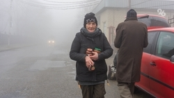 Волонтёр подсчитала примерное количество бездомных в Ставрополе