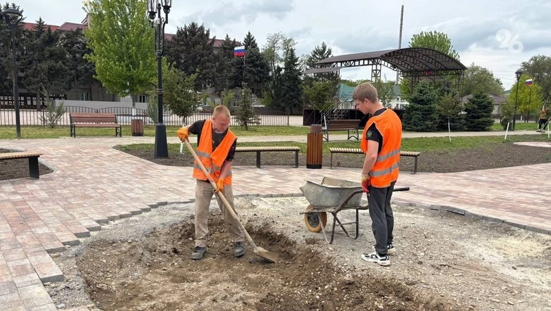 От голосования к благоустройству: в селе Новоселицком создают новую парковую зону