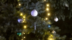 Краснодарский инфекционист опровергла слухи о заражении от «ёлочных» клещей