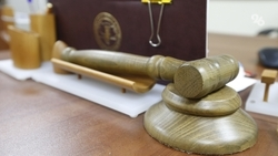 Житель Шпаковского округа получил срок за попытку мошенничества на 2 млн 