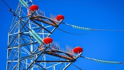 Более 420 птицезащитных устройств на электросетях установили энергетики Ставрополья