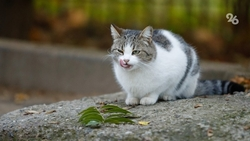 До +16 градусов ожидается на Ставрополье 3 января 