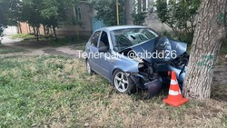 Пьяный водитель устроил ДТП с деревом на Ставрополье 