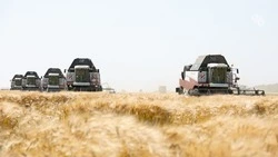 «Кубань Кредит» поддержал агробизнес Ставрополья на 3,4 млрд рублей