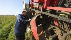 Ставрополье вошло в топ-10 субъектов РФ по обновлению сельхозтехники