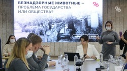 Проблему безнадзорных животных обсудили в Ставрополе