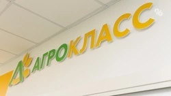 Школьники Кировского округа выращивают баклажаны на уроках в агроклассе