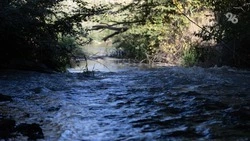 Уровень воды Калауса, подтопившего сёла на Ставрополье, упал на 28 см за сутки