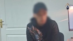 Ставрополец до смерти забил 20-летнюю девушку руками, ногами, кирпичом и ножом