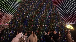 Ставропольский психолог объяснил, как победить стереотипы о веселье на Новый год