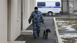 Детей перевели на дистанционку из-за сообщений о минировании школ в Ессентуках