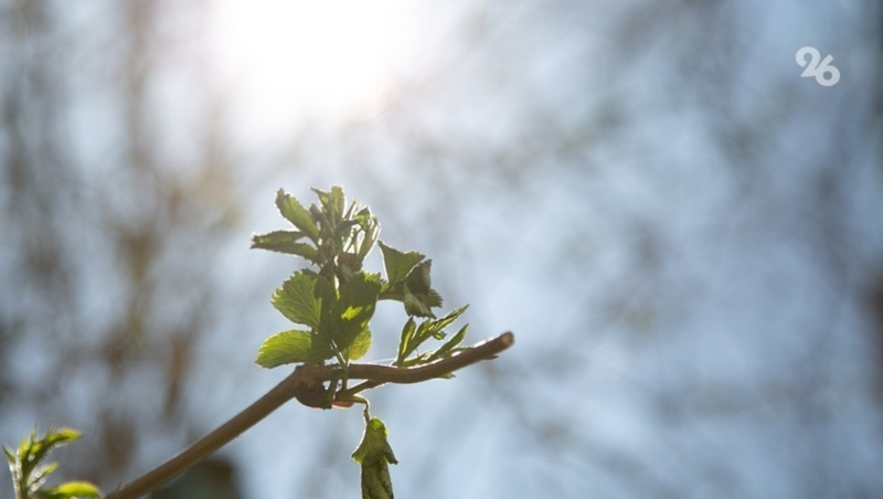 Врач Иванов: Риск заболеть ОРВИ возрастает весной