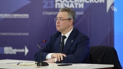 Губернатор Владимиров: молодёжный отдых может не ужиться с классическими санаториями КМВ