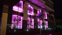 Около 250 кафе и магазинов Ставрополя нарядили к Новому году и Рождеству 