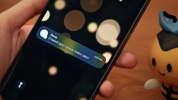 Опрос билайна: ставропольцы считают, что старый друг лучше новых двух