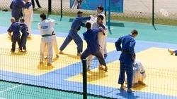 Чемпионат по дзюдо стал частью «политики возможностей» Ставрополья — эксперт