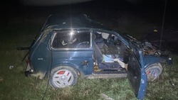 Корова стала причиной гибели автомобилиста на Ставрополье