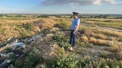 Несанкционированную свалку обнаружили в Будённовском округе