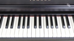 В Кисловодске пройдёт всероссийский фестиваль «PRO.Движение»