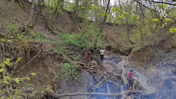 Проект «Живой лес» создали в Ставрополе для спасения реки Мамайки