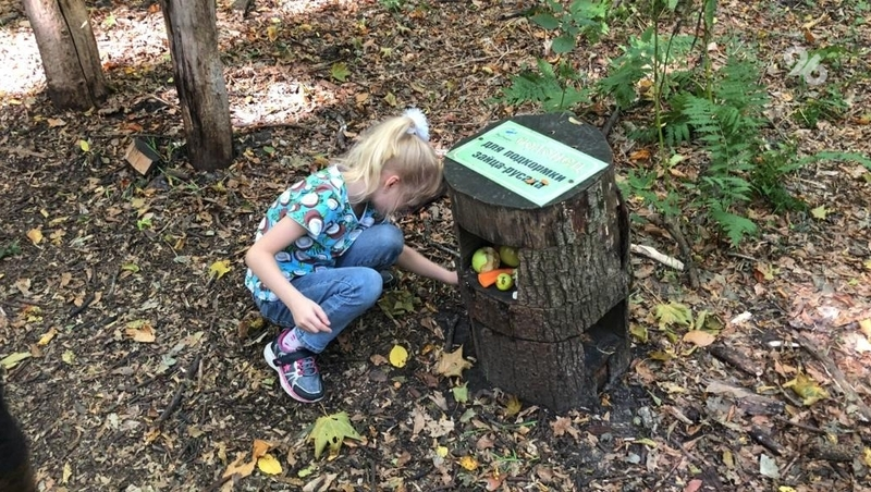 Глава Ставрополья пригласил жителей и гостей края погулять по экотропам  региона