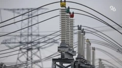 Половина Ессентуков осталась без света из-за кота на подстанции