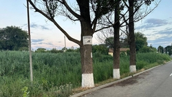 Два ребёнка утонули на Ставрополье, третий — в тяжёлом состоянии