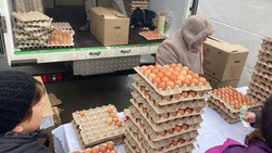 Более 200 яичных ярмарок пройдут 23 и 24 декабря на Ставрополье