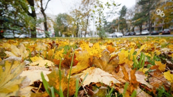 Прогулки и спорт помогают избежать сезонной депрессии — психолог Дугенцова